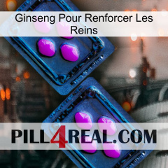 Ginseng For Reinforcing Kidney 03